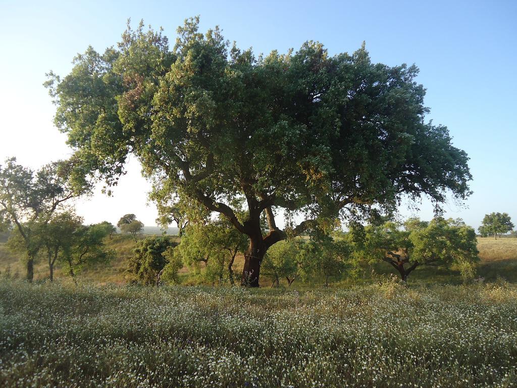 Herdade Dos Montes Bastos Santa Luzia  Εξωτερικό φωτογραφία