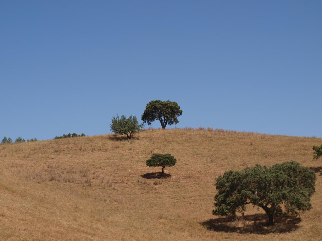 Herdade Dos Montes Bastos Santa Luzia  Εξωτερικό φωτογραφία